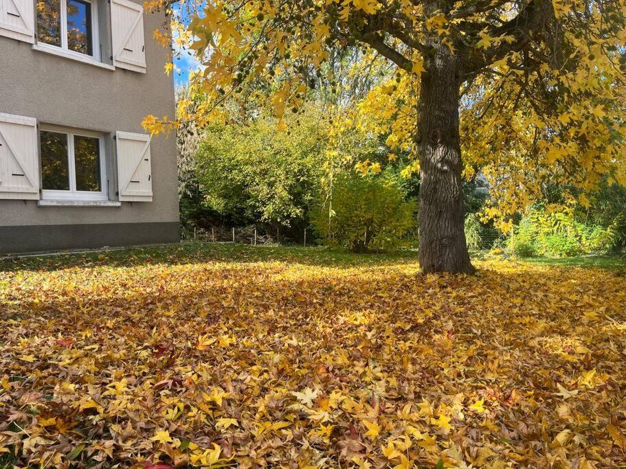 La Familiale Villa Saint Gaudens Eksteriør bilde